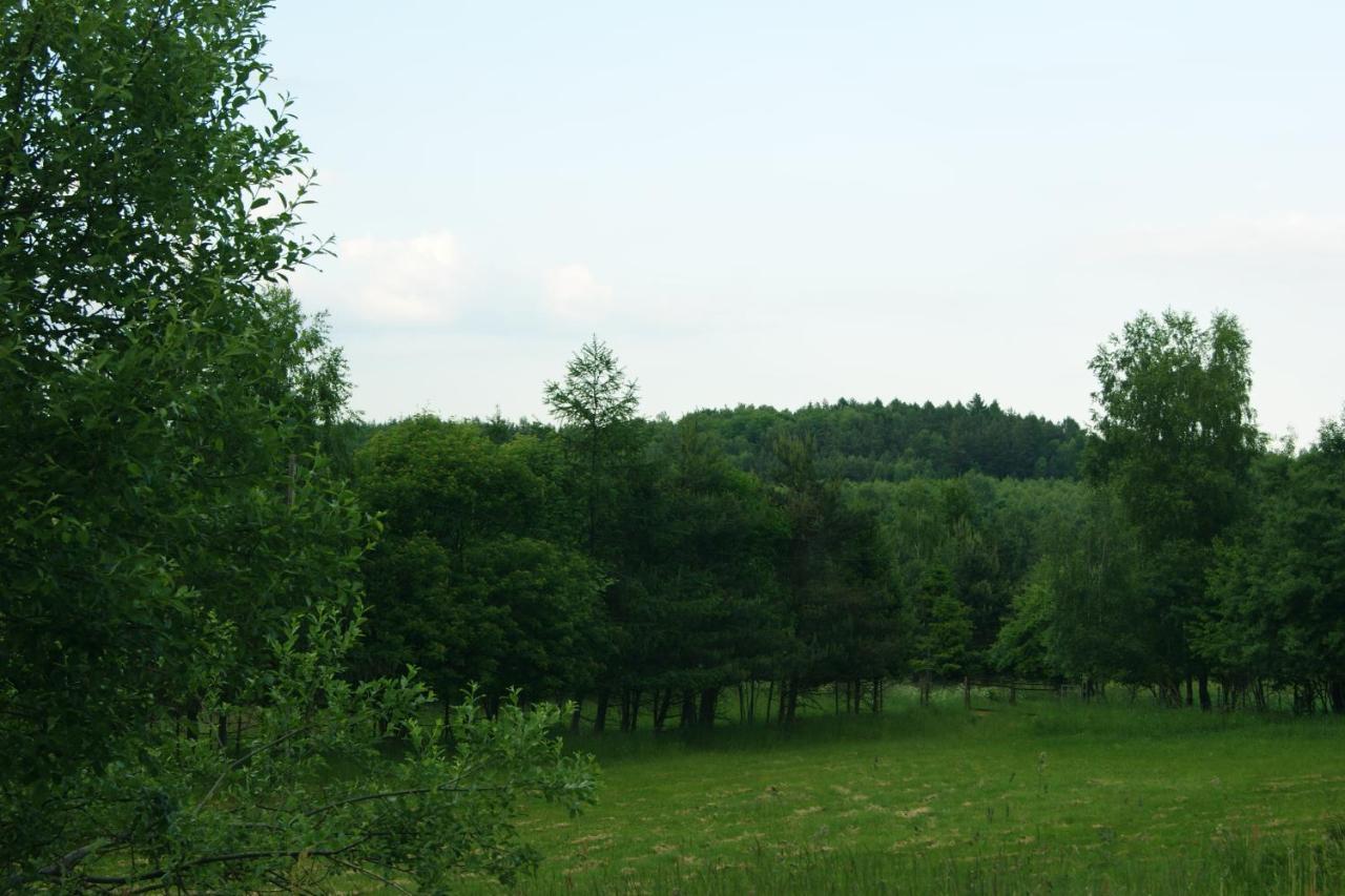 Siedlisko Blotnia Mierzeszyn Exterior foto