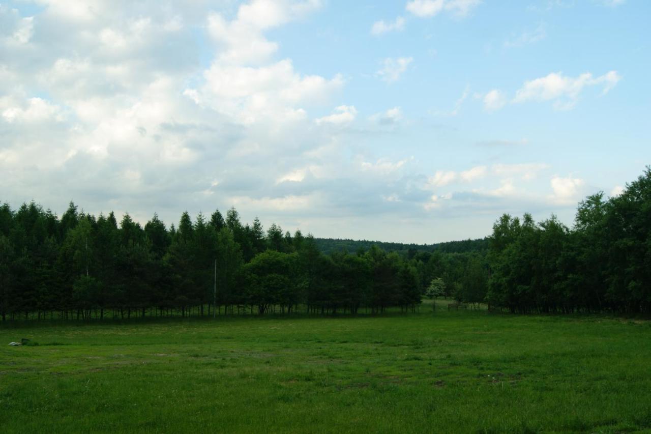 Siedlisko Blotnia Mierzeszyn Exterior foto