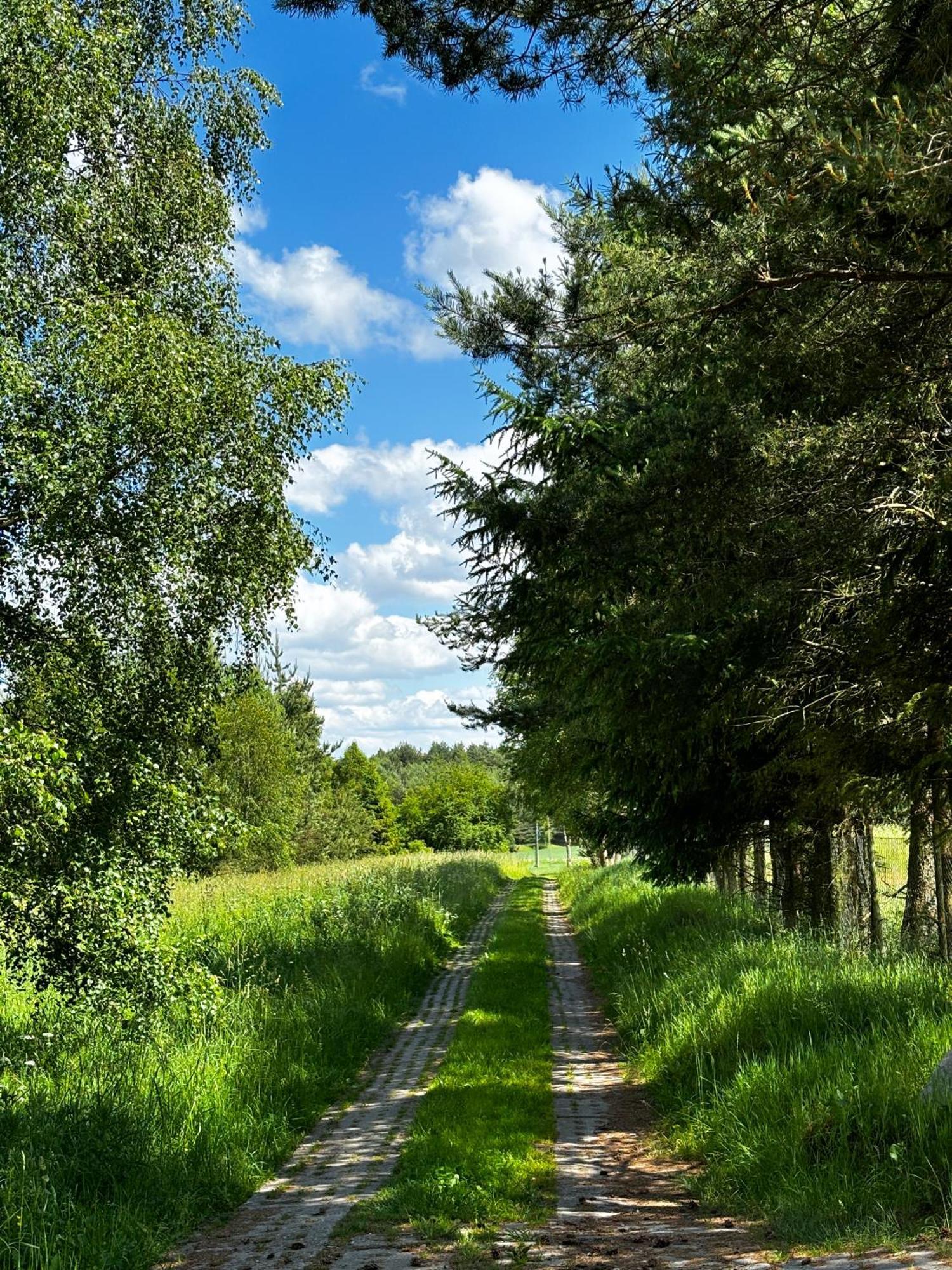 Siedlisko Blotnia Mierzeszyn Exterior foto